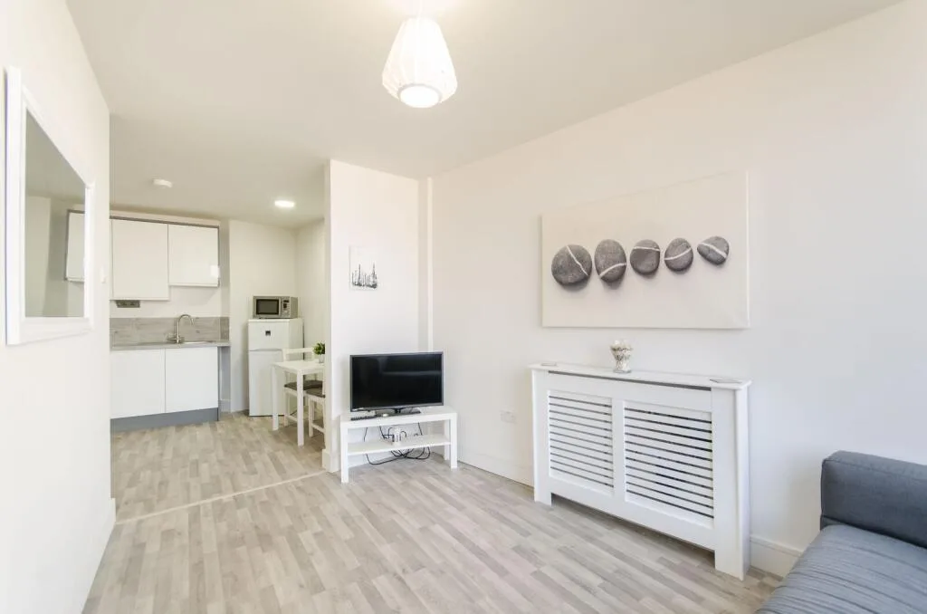 1 bedroom flat for rent