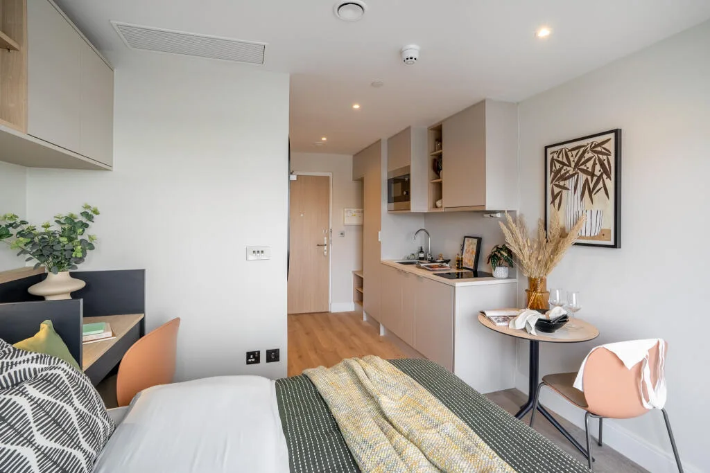 Studio flat for rent