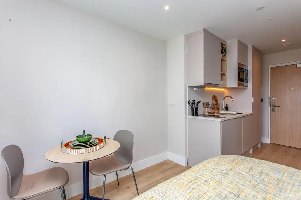 Studio flat for rent