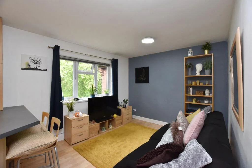 1 bedroom apartment for rent