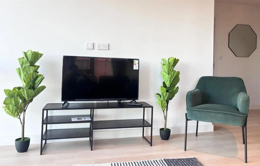 1 bedroom apartment for rent