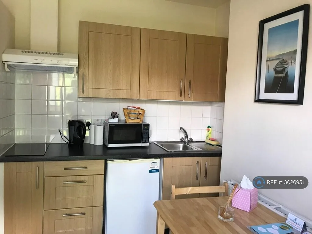 Studio flat for rent