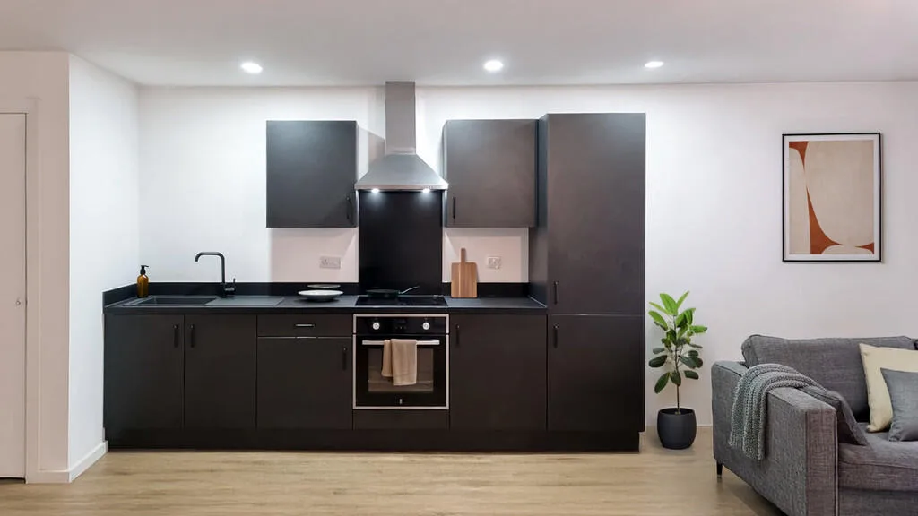 1 bedroom apartment for rent