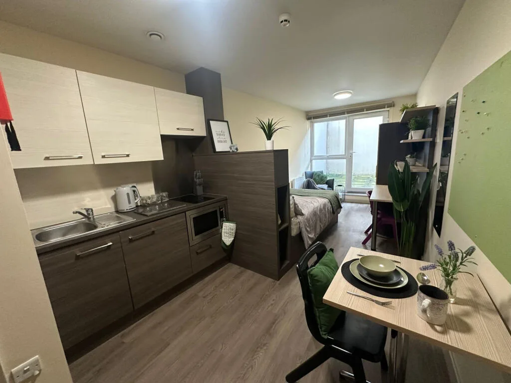 Studio flat for rent