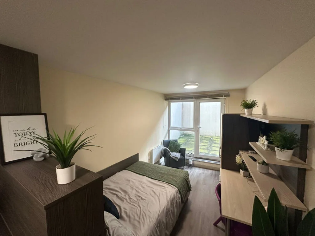 Studio flat for rent