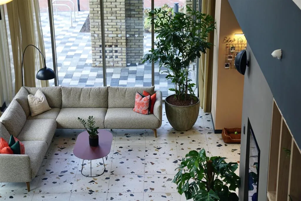 3 bedroom apartment for rent