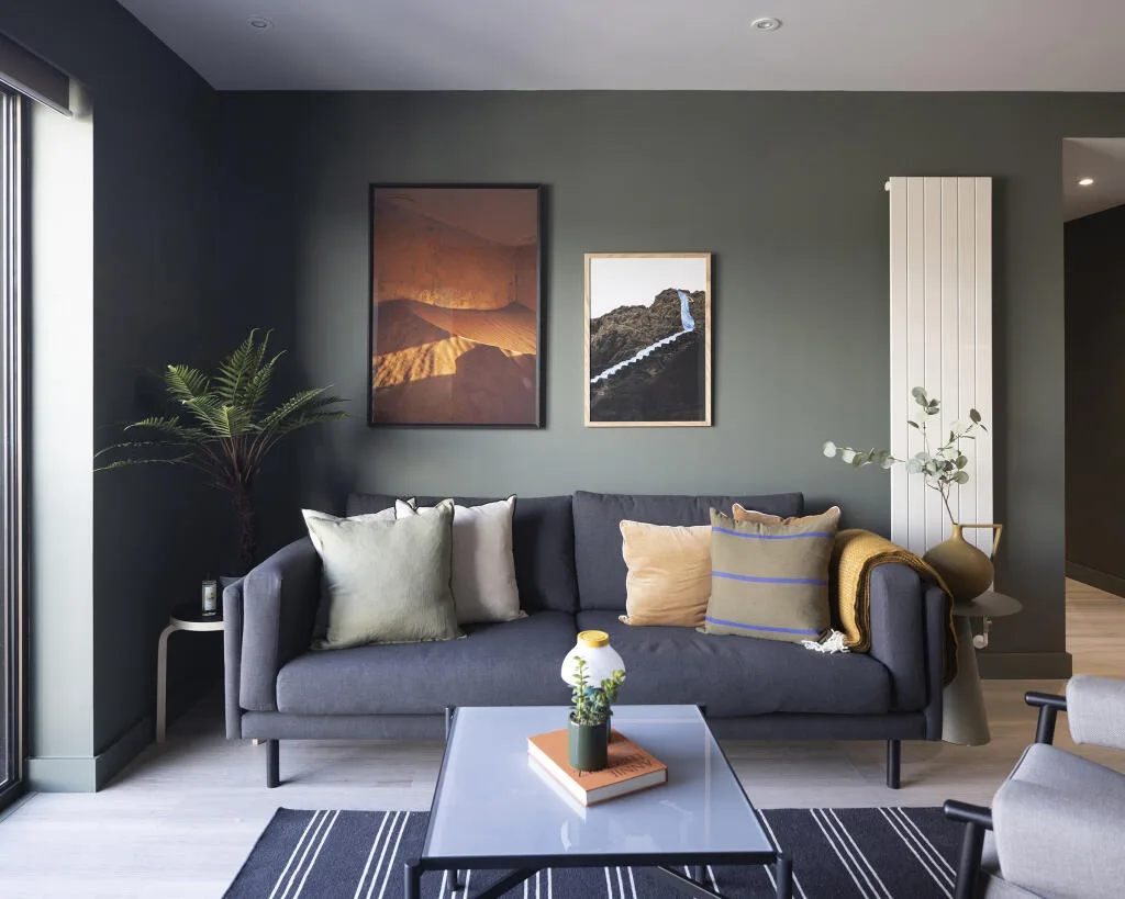 1 bedroom apartment for rent