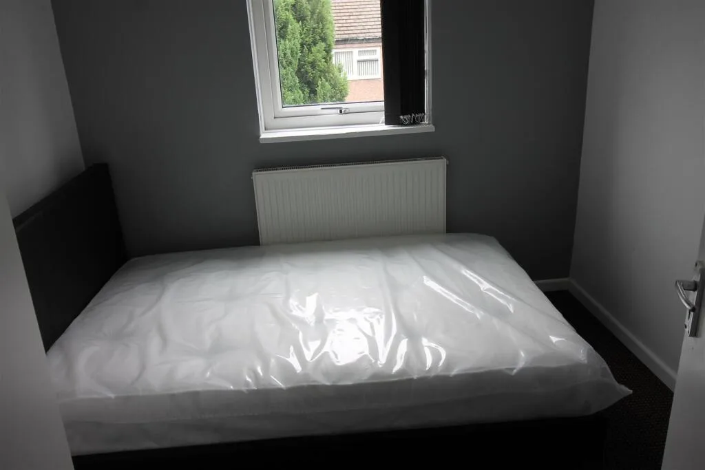 3 bedroom house for rent