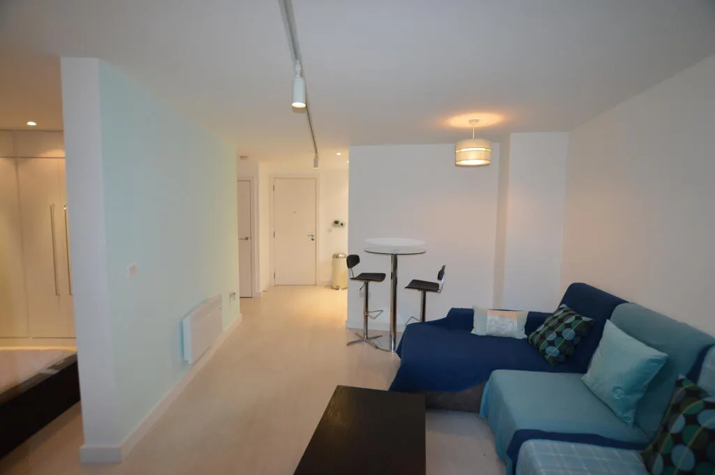 1 bedroom apartment for rent