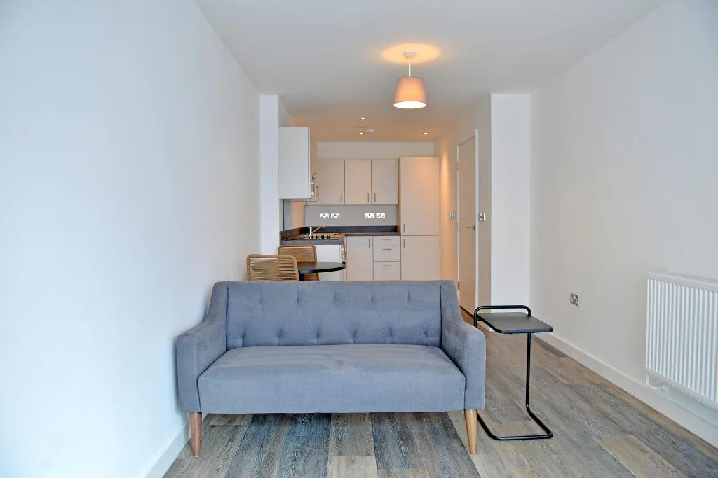 1 bedroom apartment for rent