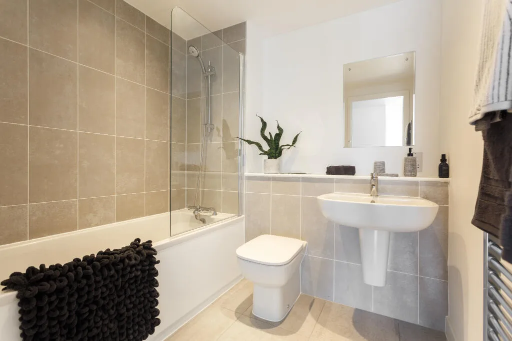 3 bedroom apartment for rent