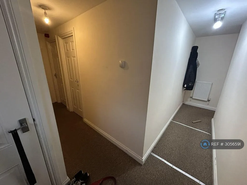 6 bedroom flat for rent