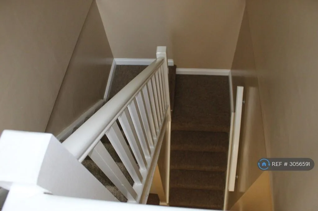 6 bedroom flat for rent