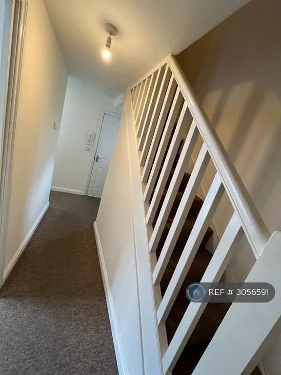 6 bedroom flat for rent