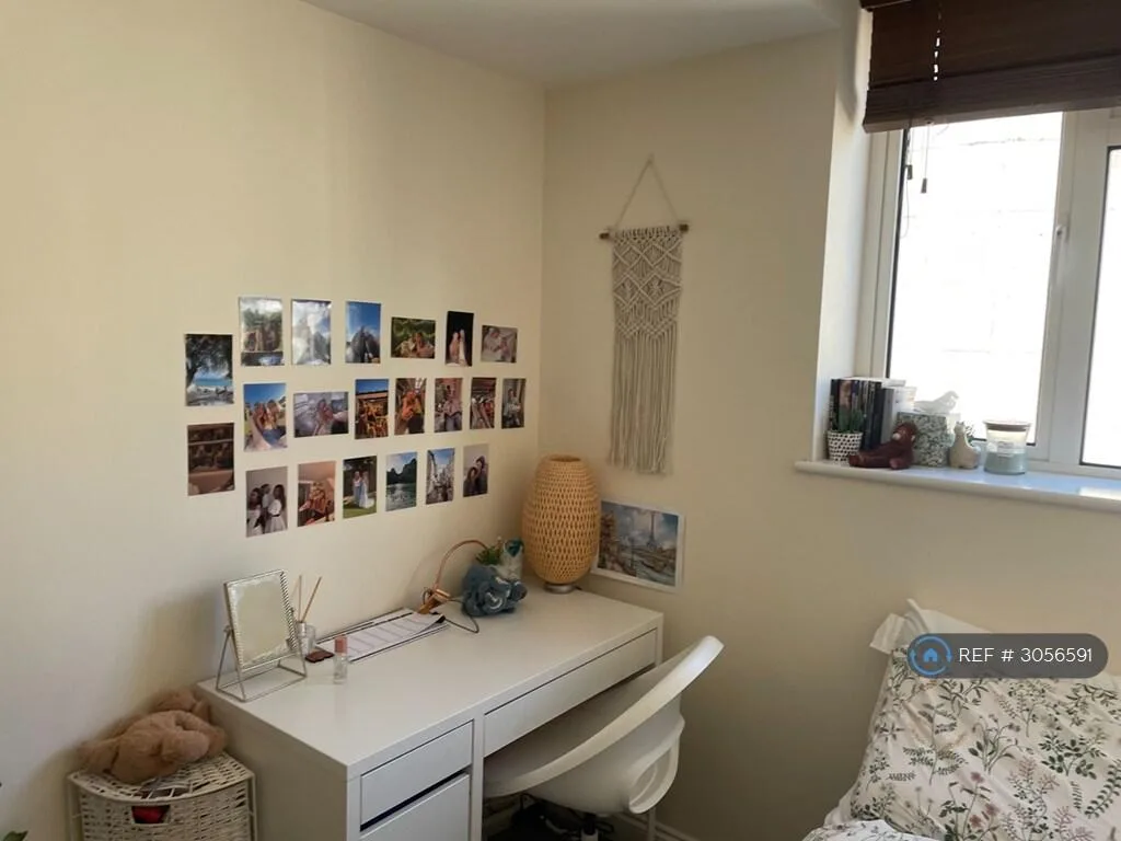 6 bedroom flat for rent