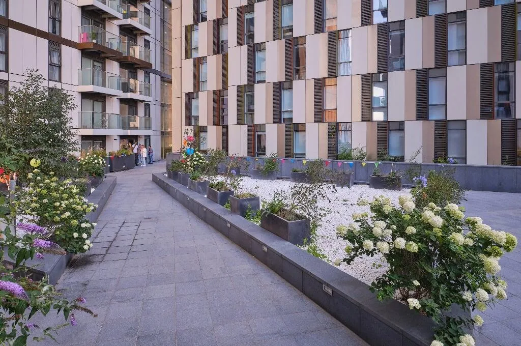 2 bedroom apartment for rent