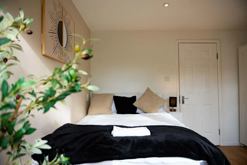 3 bedroom flat for rent