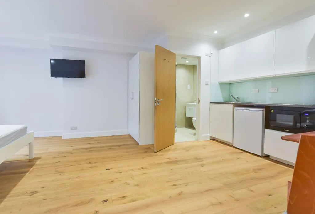 Studio flat for rent