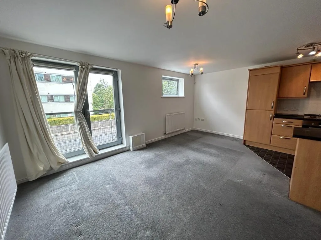 1 bedroom apartment for rent