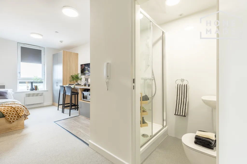 Studio flat for rent
