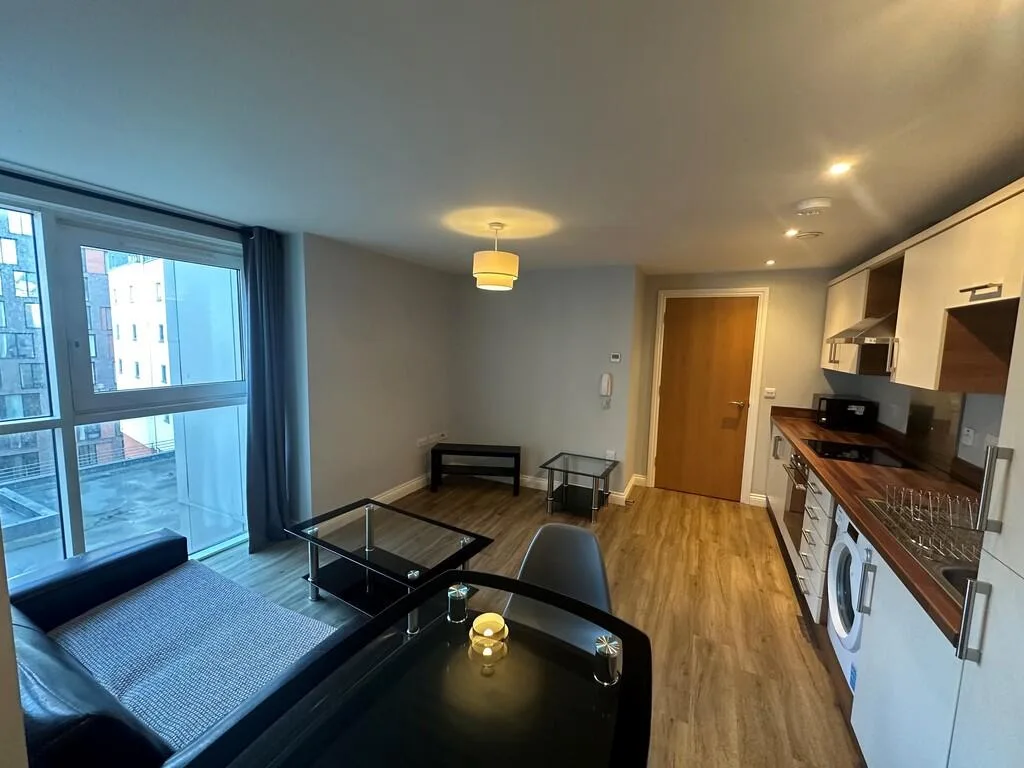 1 bedroom apartment for rent