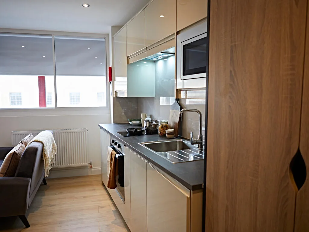 Studio apartment for rent