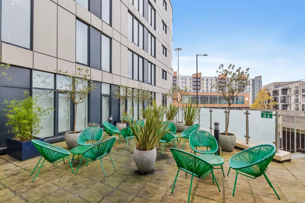 1 bedroom flat for rent
