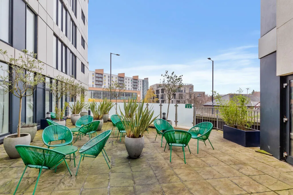 1 bedroom flat for rent