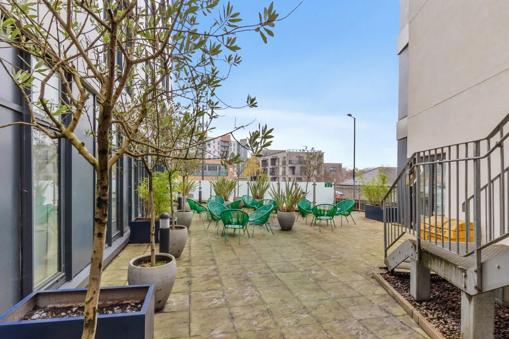 1 bedroom flat for rent