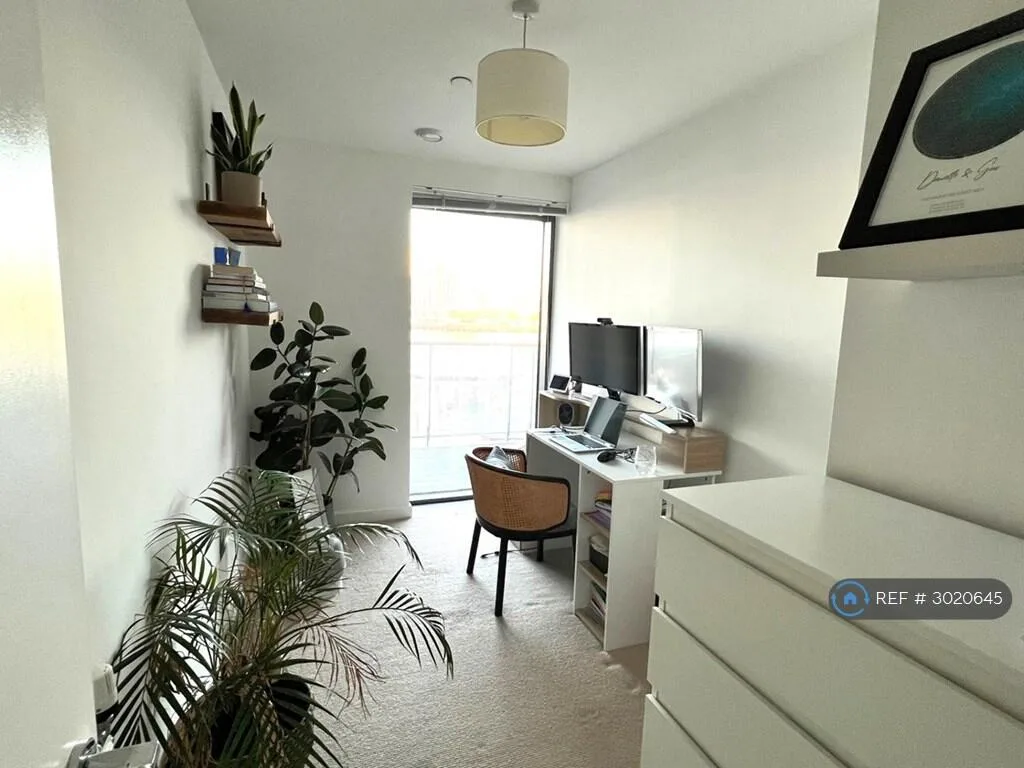 3 bedroom flat for rent