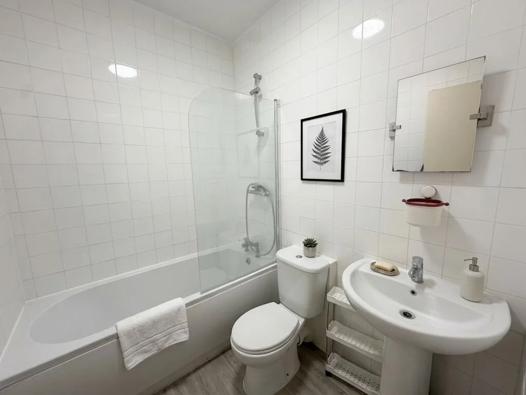1 bedroom flat for rent