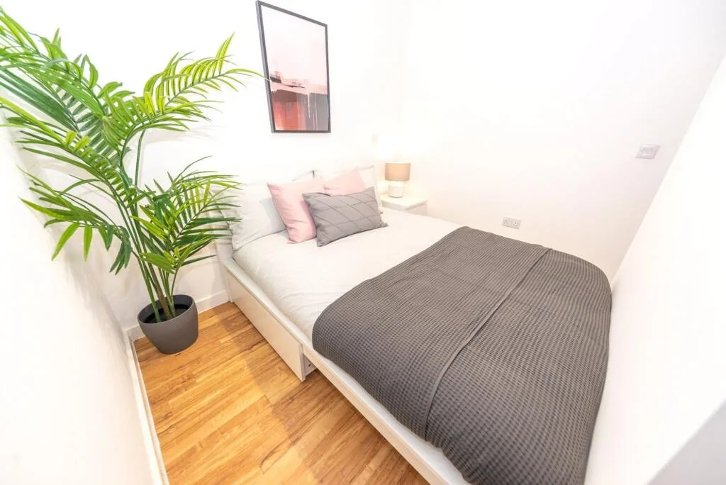 1 bedroom flat for rent