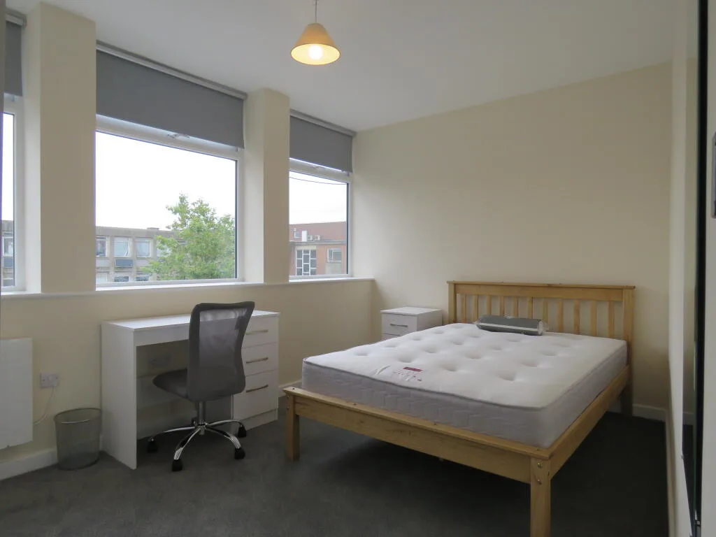 6 bedroom apartment for rent
