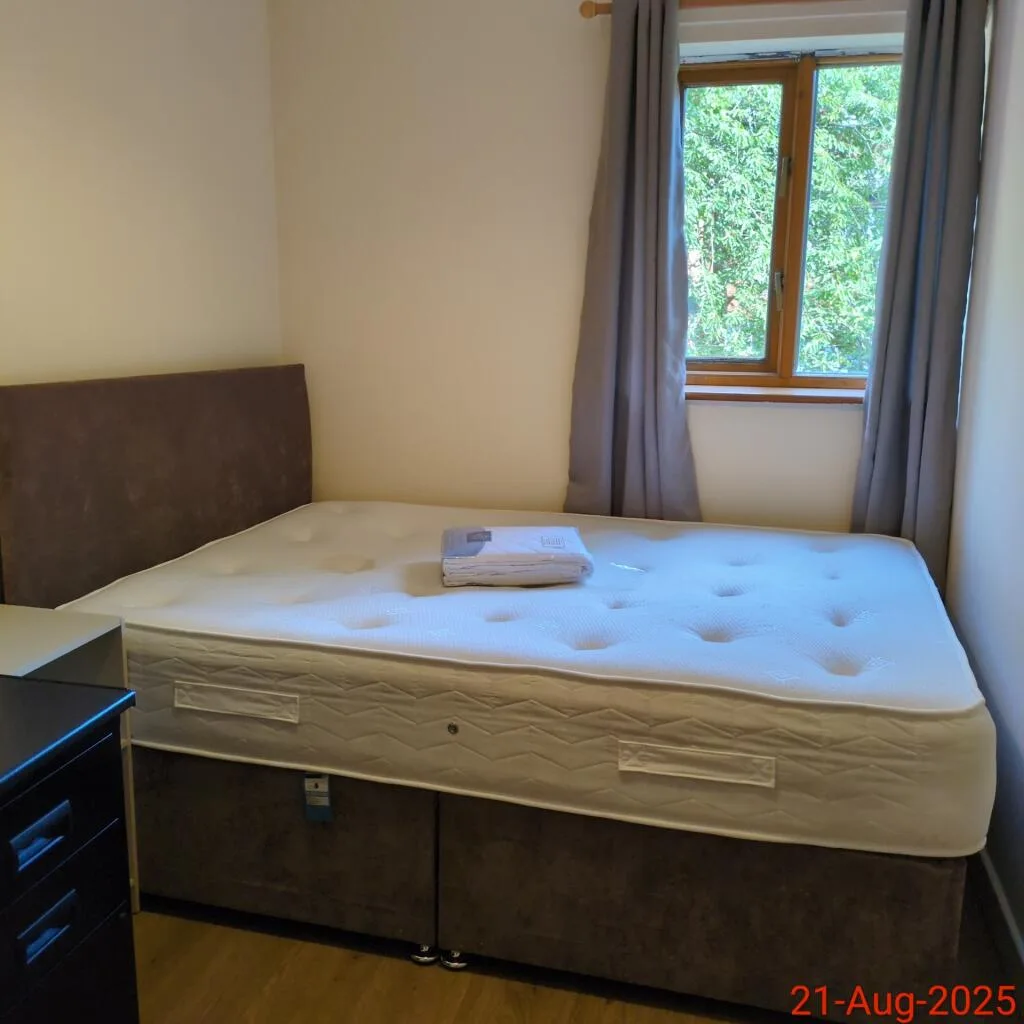 6 bedroom house for rent