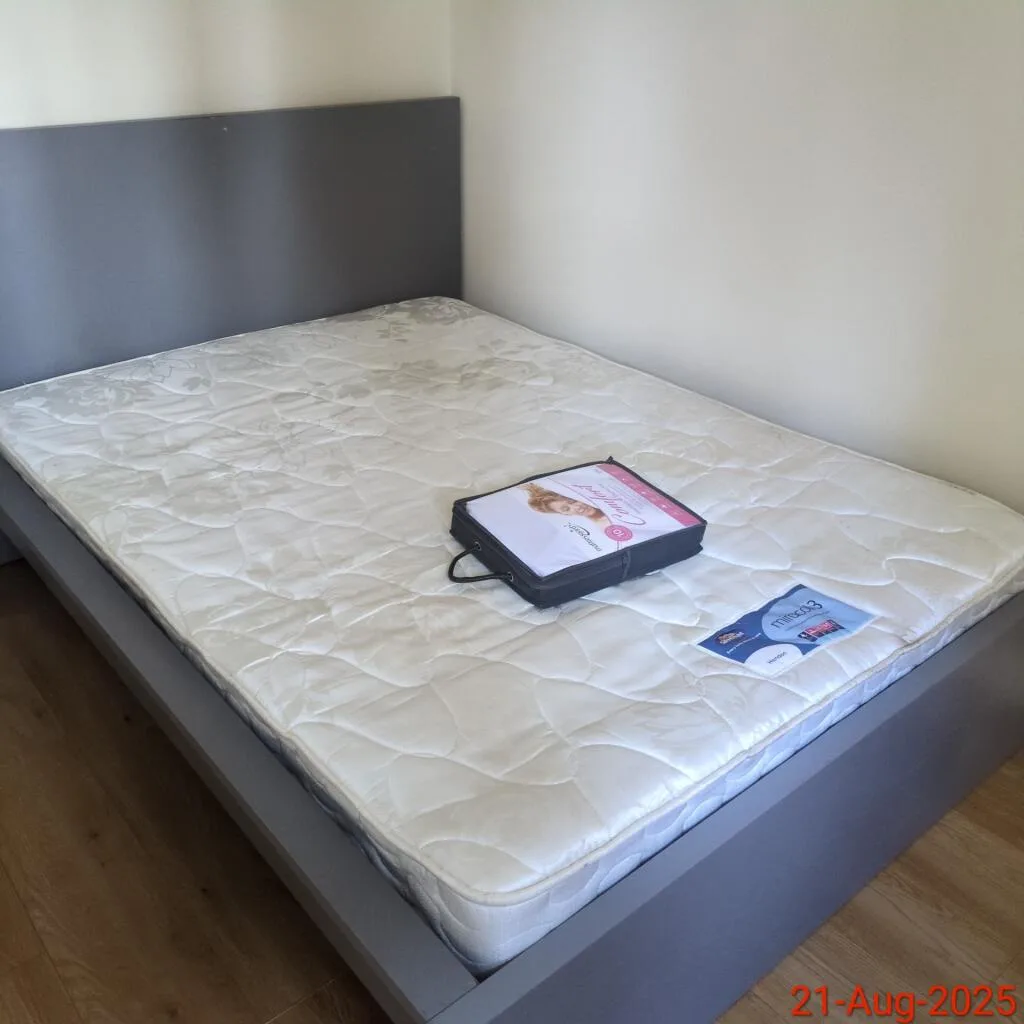 6 bedroom house for rent