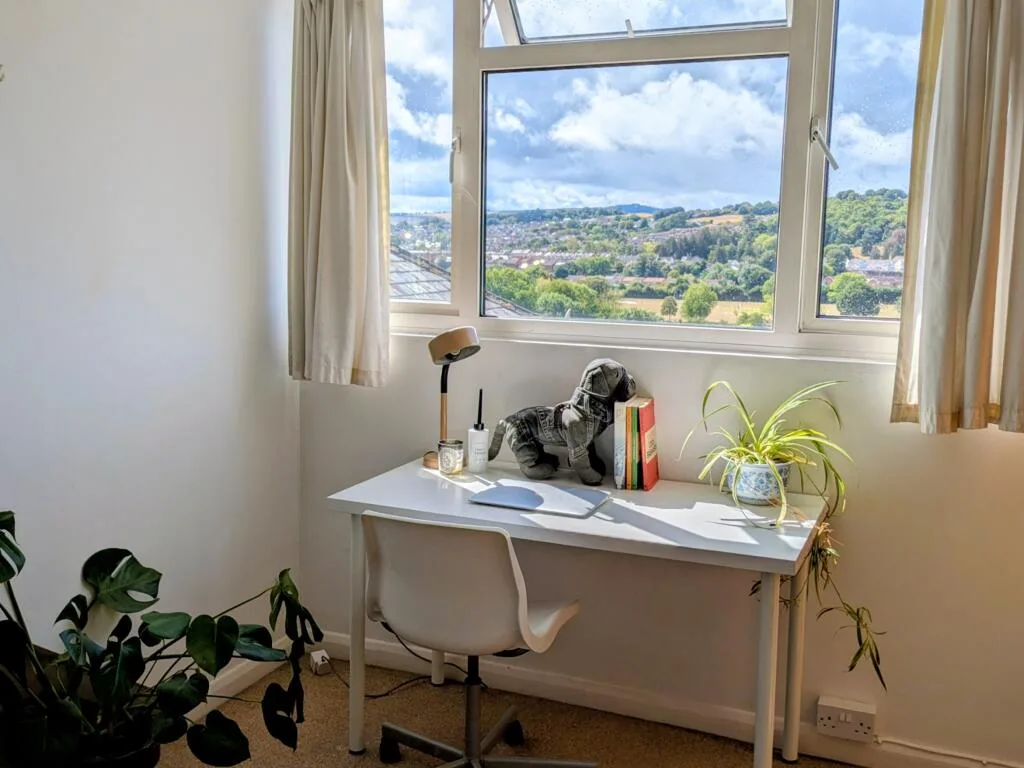7 bedroom house for rent