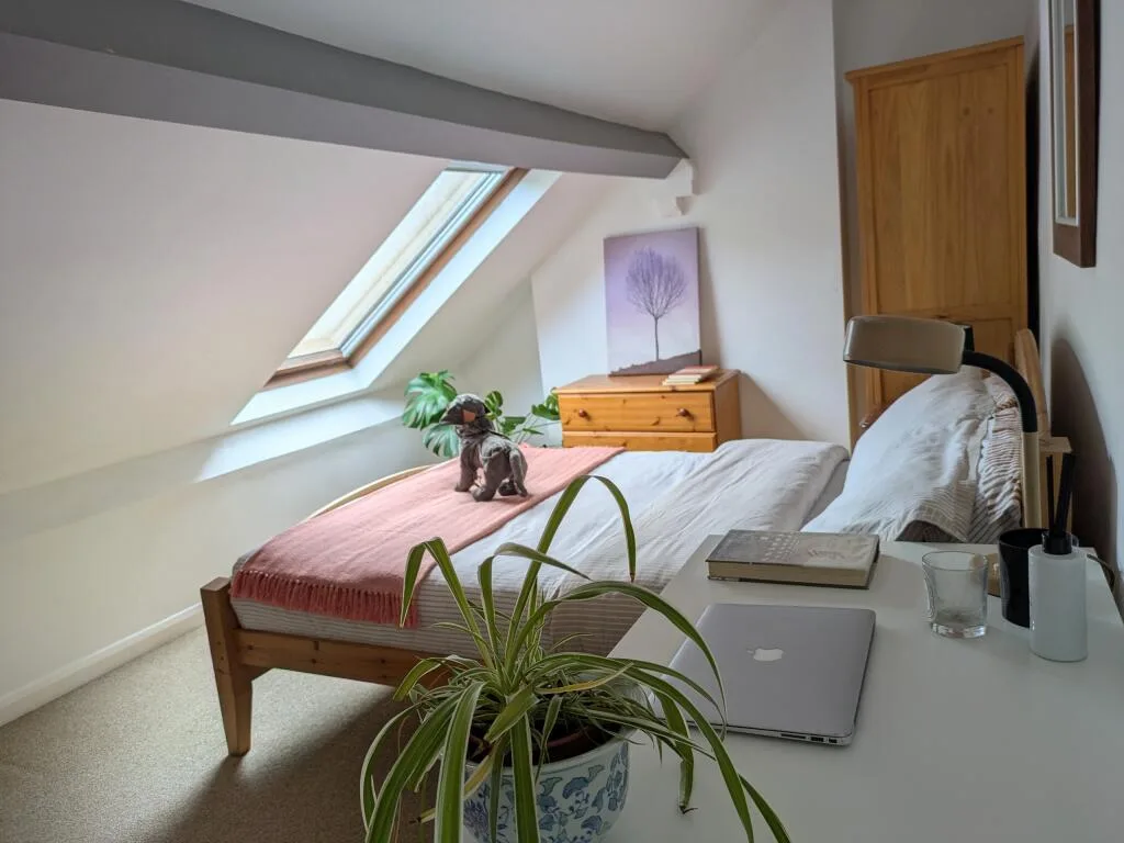 7 bedroom house for rent