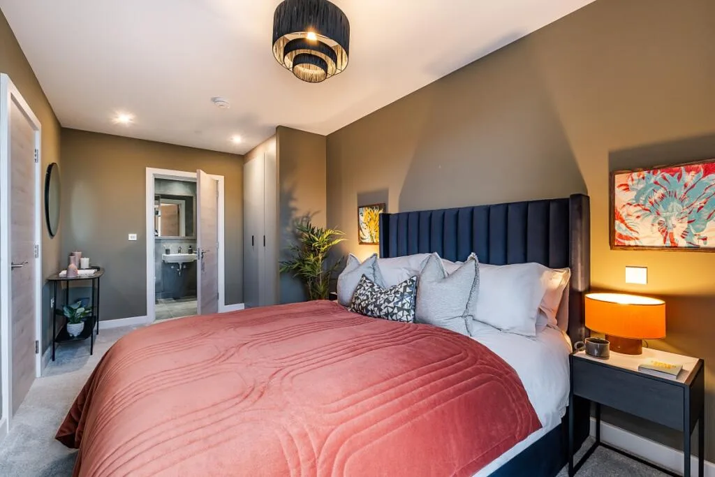 1 bedroom apartment for rent