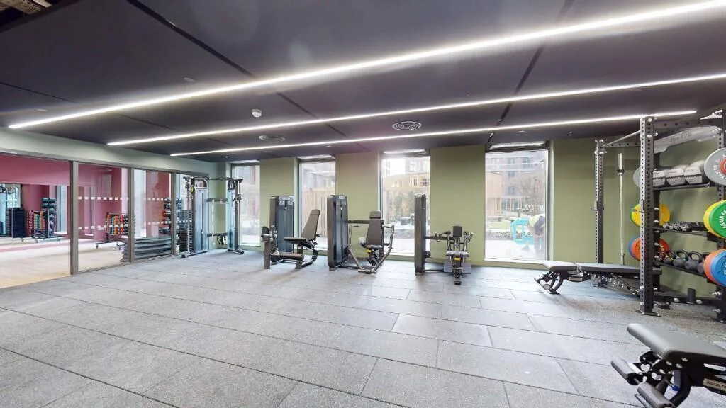 3 bedroom penthouse for rent