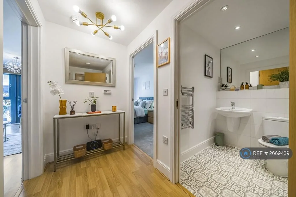 1 bedroom flat for rent