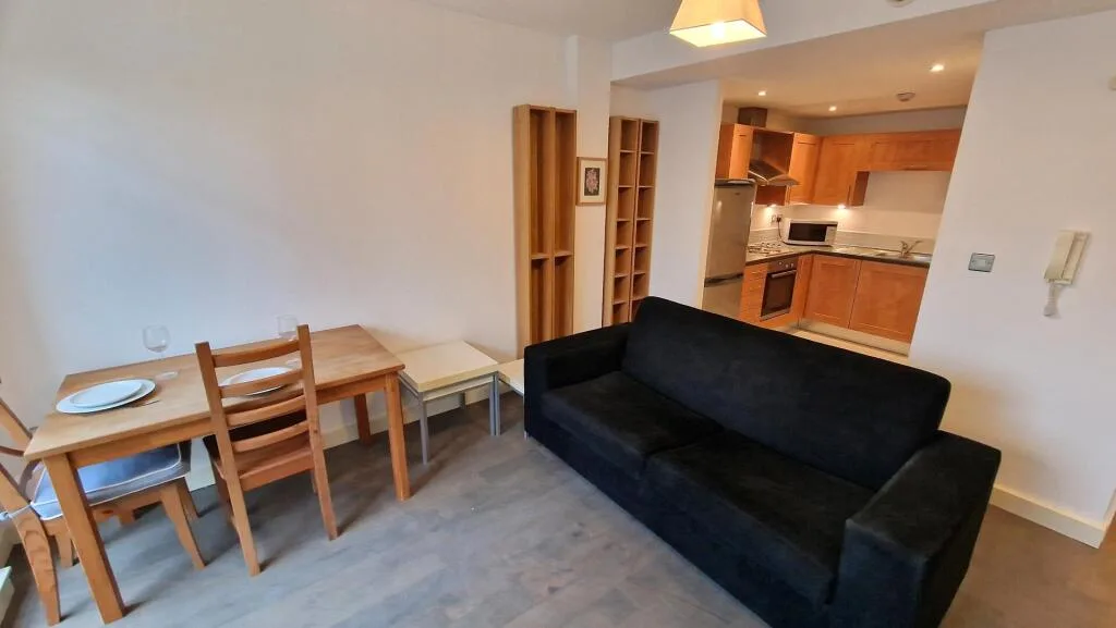 1 bedroom apartment for rent