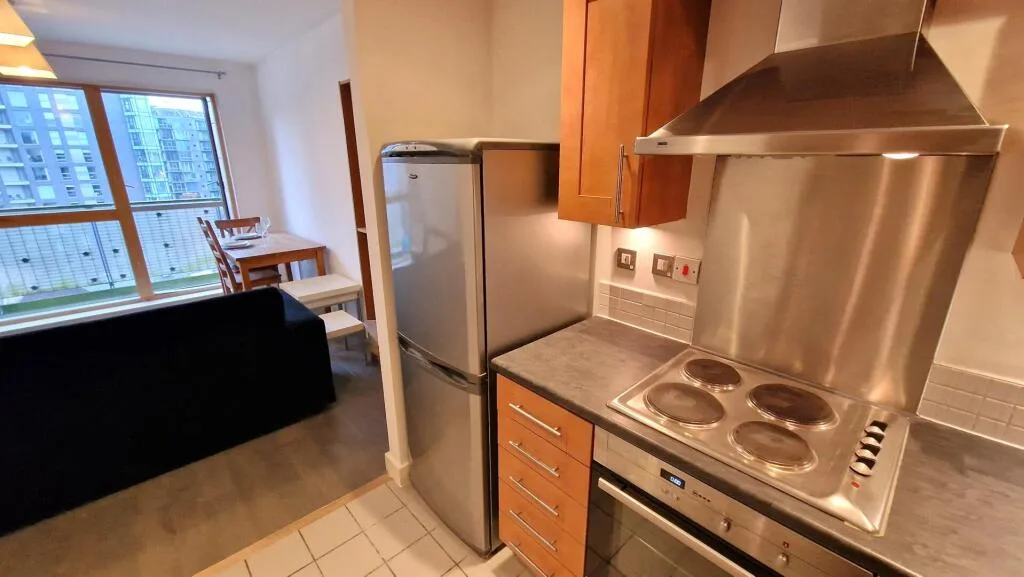 1 bedroom apartment for rent
