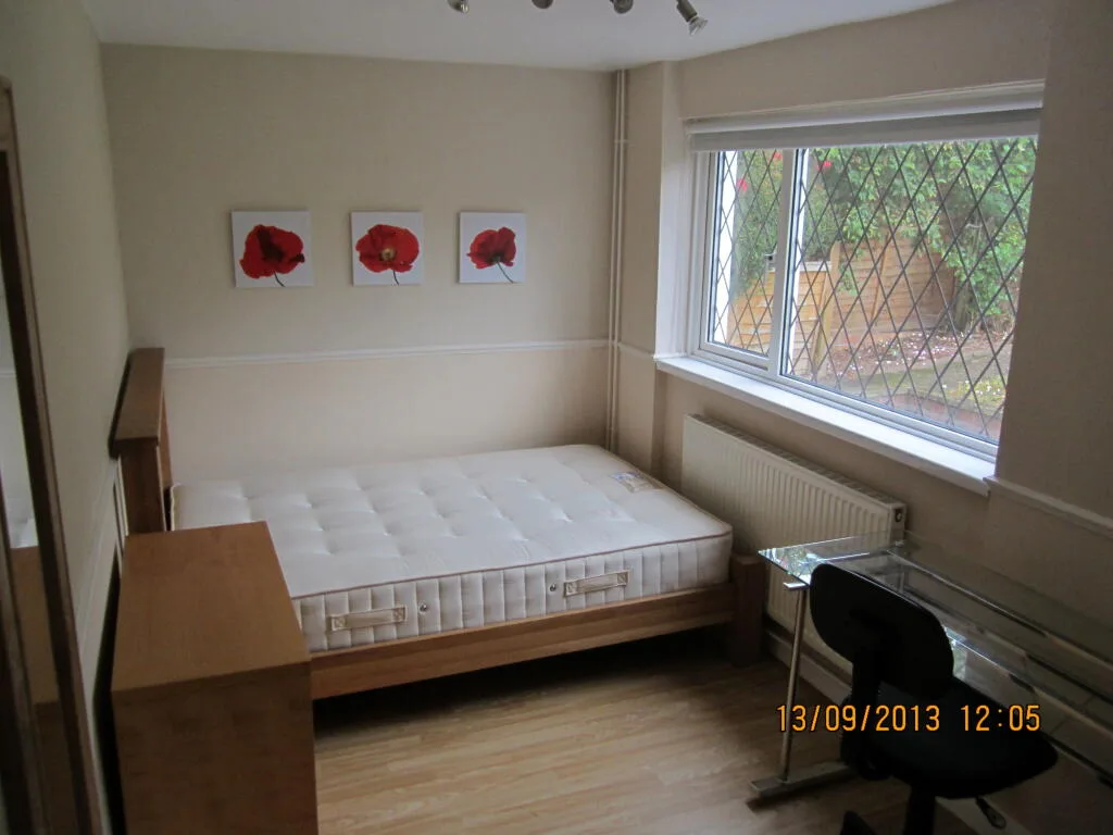 6 bedroom house for rent
