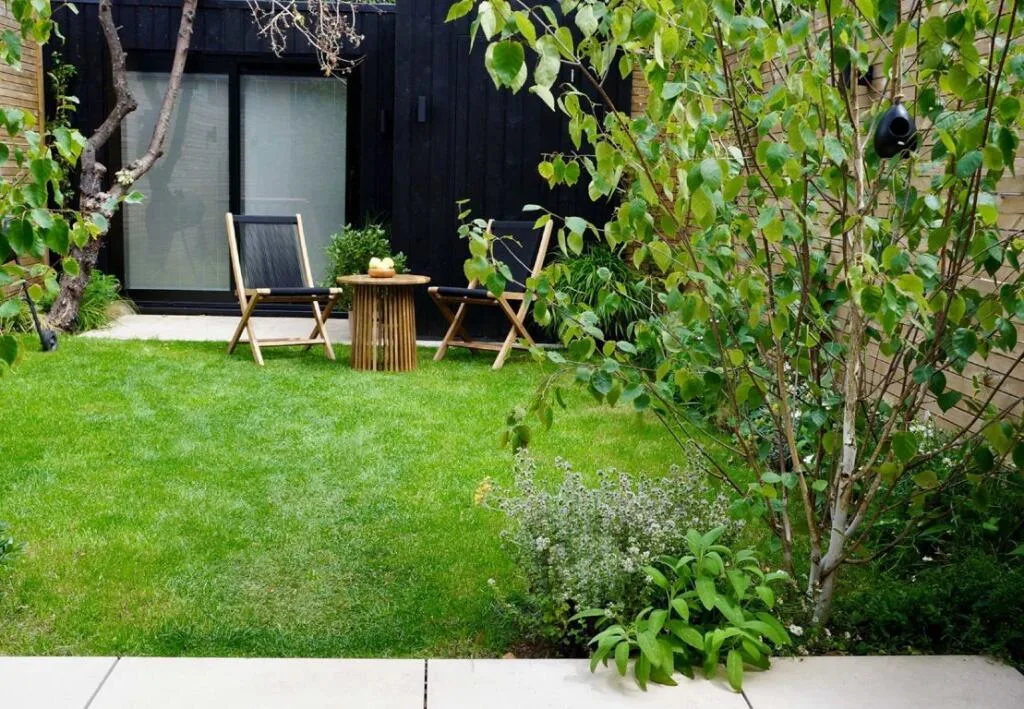 3 bedroom house for rent