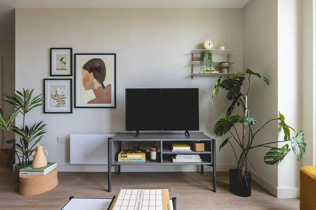1 bedroom apartment for rent