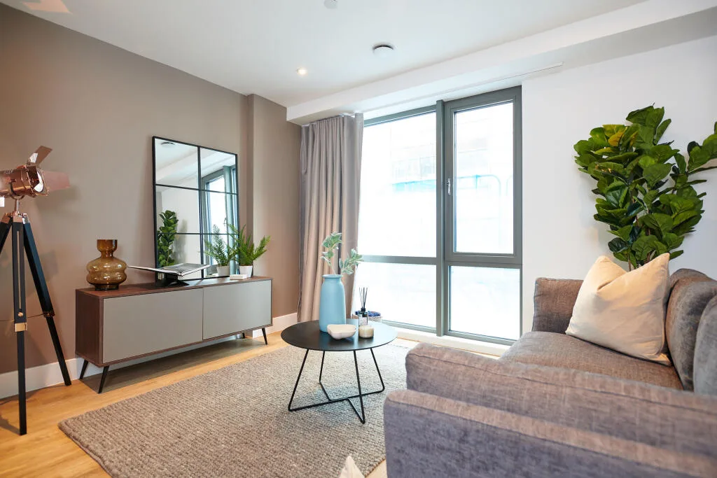 1 bedroom apartment for rent