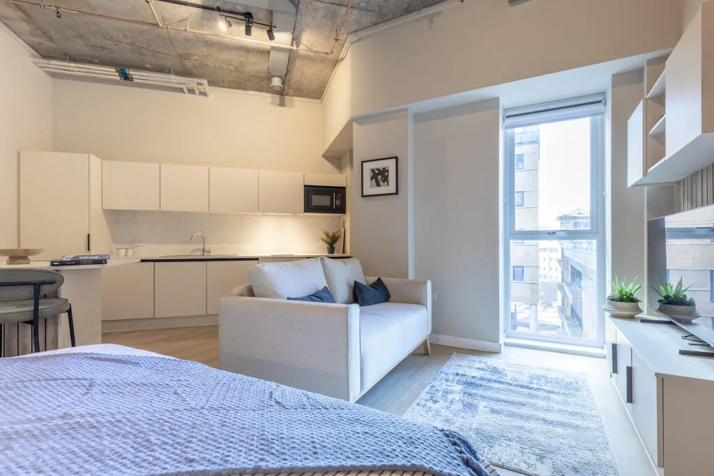 1 bedroom apartment for rent