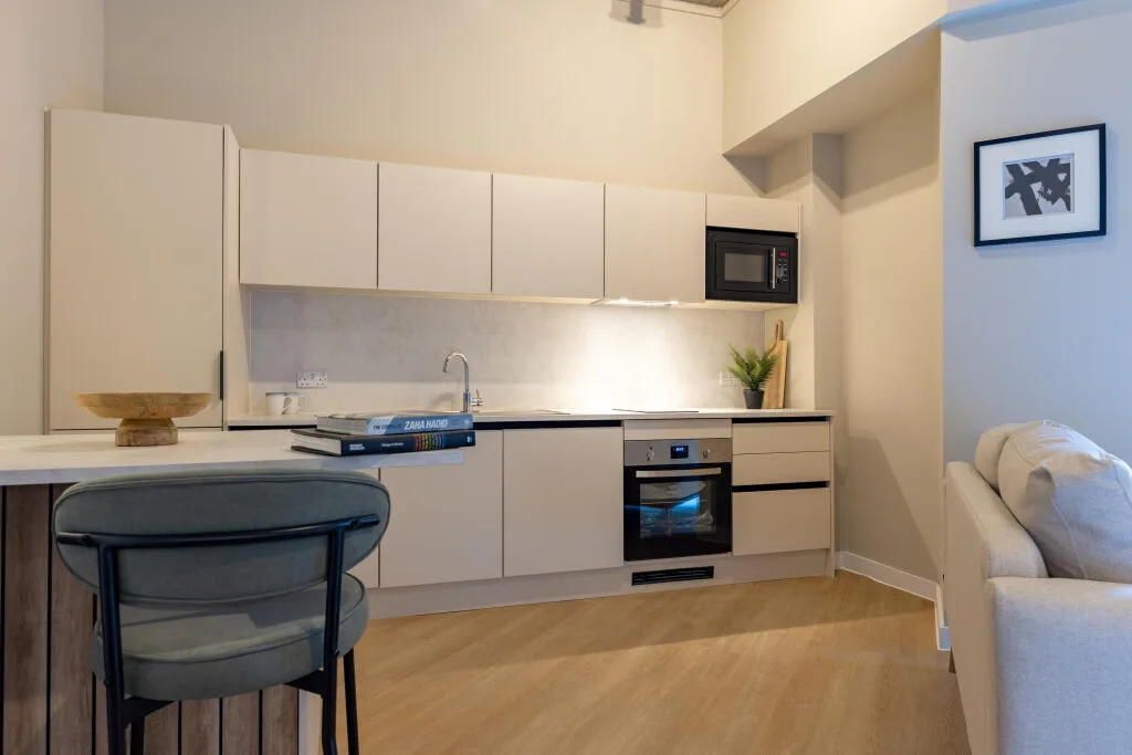 1 bedroom apartment for rent