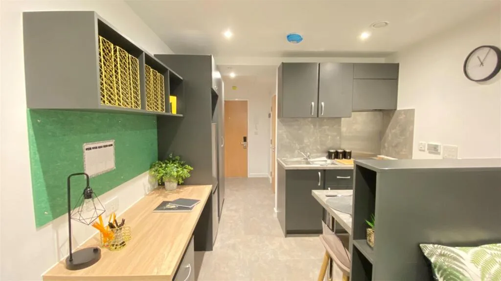 Studio flat for rent