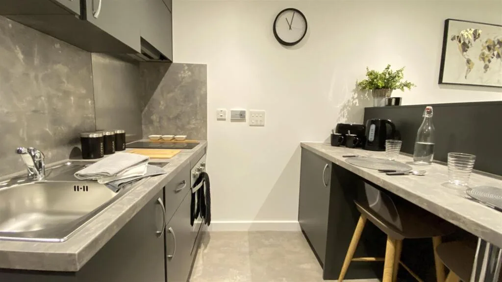 Studio flat for rent